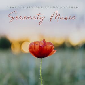 Tranquility Spa Sound Soother - Serenity Music CD - Buddha Tranquility Zen Spa Music Relaxation Deep Sleep Serenity Academy