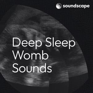 Deep Sleep Womb Sounds - Mother Nature FX