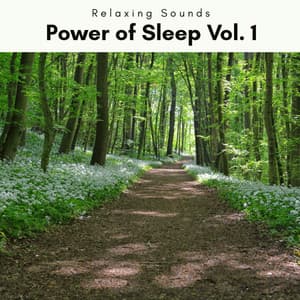 2022 Power of Sleep Vol. 1 - Sleep Tech