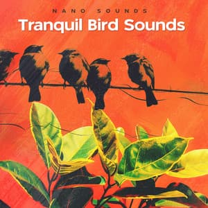 Tranquil Bird Sounds - Nano Sounds