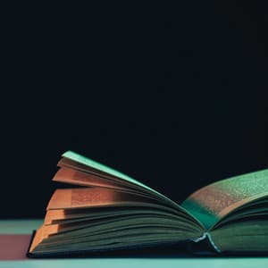 Soft Sounds for Relaxing Study Evenings - Language of Lyrics