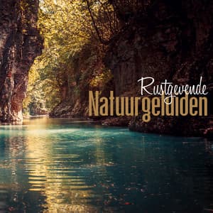 Rustgevende Natuurgeluiden: Verzameling van Natuurmuziek voor Slapen, Spa, Studeren en Ontspannen - Genezende Collectie