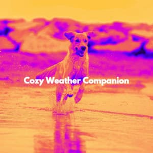 Cozy Weather Companion - Night Time Jazz Culture