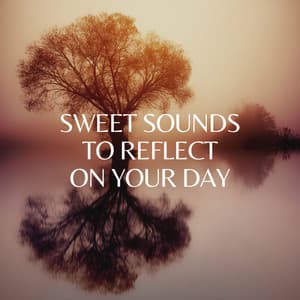 Sweet Sounds to Reflect on Your Day - Focusity