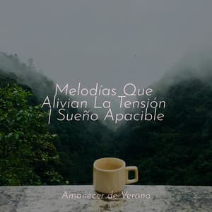 Melodías Que Alivian La Tensión | Sueño Apacible - Musica romantica instrumental