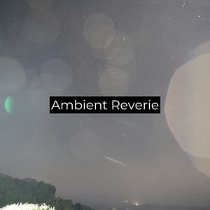 Ambient Reverie - ohm waves