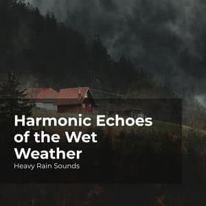 Harmonic Echoes of the Wet Weather - Heavy Rain Sounds