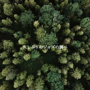 久しぶりのジャズの調べ - Romantic Dinner Table Music