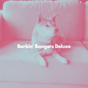 Barkin' Bangers Deluxe - Soft Coffee Shop Music