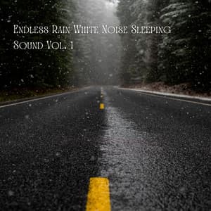 Endless Rain White Noise Sleeping Sound Vol. 1 - The White Noise Travelers