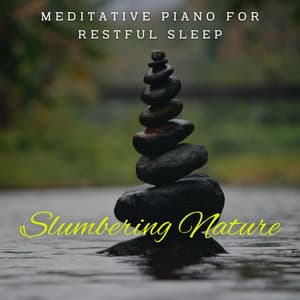 Slumbering Nature: Meditative Piano for Restful Sleep - Quiet Piano Jazz Relax