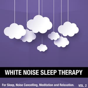 White Noise Sleep Therapy, Vol. 2 - White Noise Sleep Therapy