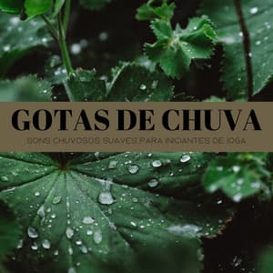 Gotas De Chuva: Sons Chuvosos Suaves Para Iniciantes De Ioga - Música de Relaxamento No Spa