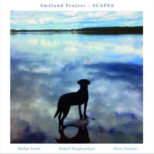 Småland Project - Scapes - Stefan Levin