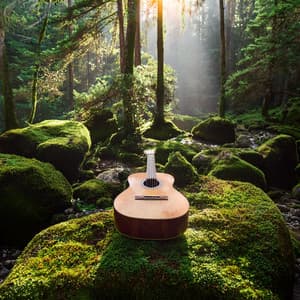 Guitarras Para La Relajación: Vibraciones Cálidas De Armonía - Musica Relajante de Guitarra Beats