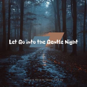 Let Go into the Gentle Night - Natural Miracle Sleep 432 Hz