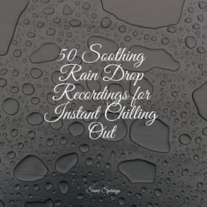 50 Soothing Rain Drop Recordings for Instant Chilling Out - Sleep Tight