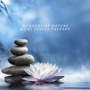 Wonders of Nature & CBT Stress Therapy: Morning Birds, Wind, Ocean Waves and More Natural Music - Oasis de Musique Nature Relaxante