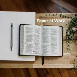 Focus at Work - Study With Us