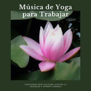 Música de Yoga para Trabajar: Canciones New Age para Aliviar la Ansiedad y Estrés Laboral - Meditacion Budista Maestros