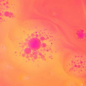 Sunny Music for Earthly Relaxation - Chill Out - Jazz Alegre para Hoteles