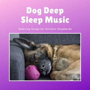 Dog Deep Sleep Music: Relaxing Songs for German Shepherds - Dog Bedtime