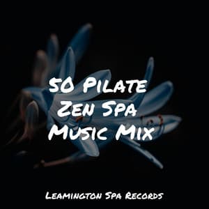50 Pilate Zen Spa Music Mix - Relaxed Minds