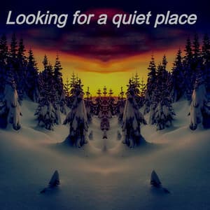 Looking for a Quiet Place - Lofi Radiance