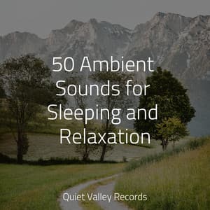 50 Ambient Sounds for Sleeping and Relaxation - Yoga Sounds
