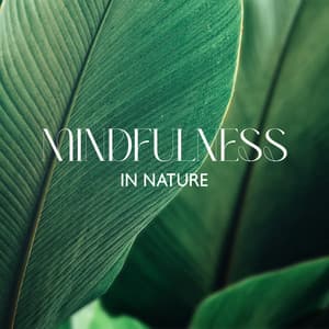 Mindfulness in Nature: Zen Meditation to Help You Find a Sense of Peace, Calming Awareness and Oneness with the World - Nature Sounds Artists