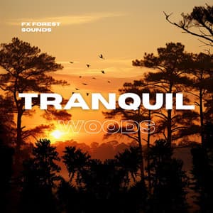 Tranquil Woods - FX Forest Sounds