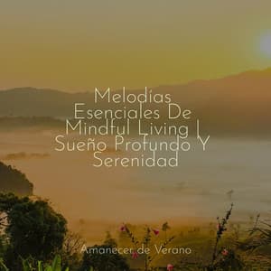 Melodías Esenciales De Mindful Living | Sueño Profundo Y Serenidad - Saludo al Sol Sonido Relajante