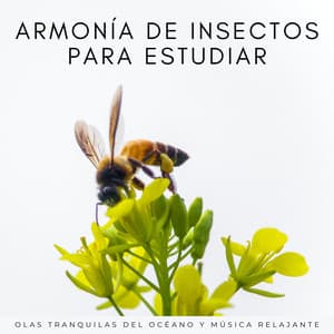 Armonía De Insectos Para Estudiar: Olas Tranquilas Del Océano Y Música Relajante - Corrientes oceánicas