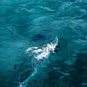 Floating in Silence, Rejuvenation - Sauna Spa Paradise