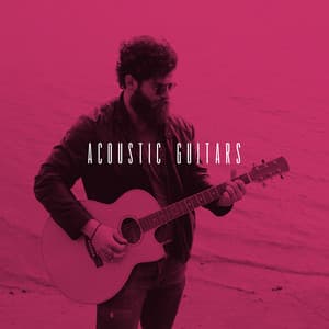 Acoustic Guitars - Afternoon Acoustic