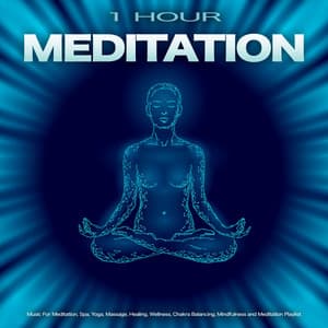 1 Hour Meditation: Music For Meditation, Spa, Yoga, Massage, Healing, Wellness, Chakra Balancing, Mindfulness and Meditation Playlist - Meditation Playlist