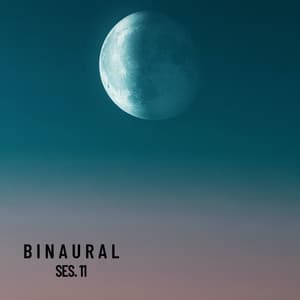 Binaural, Deep Sleep Binaural Beats Session 11 - Sleeping Music