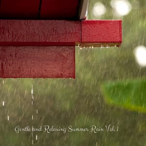 Gentle and Relaxing Summer Rain Vol. 1 - Rainforest Sounds