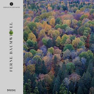 Ferne Baumwipfel - Geräusche der Natur