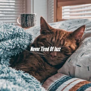 Never Tired Of Jazz - Afternoon Jazz Playlist