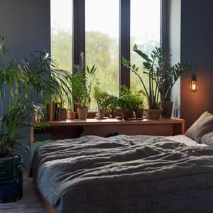 Lofi Para Un Sueño Profundo Para Noches Relajantes - Sueños de mandalas