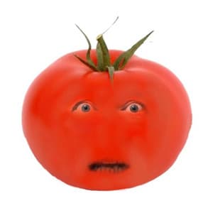 Het irritante tomaat lied! | Grappige liedjes - De Tekentovenaar