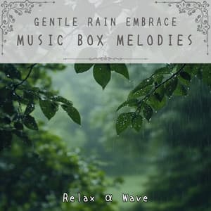 Gentle Rain Embrace: Music Box Melodies - Relax α Wave
