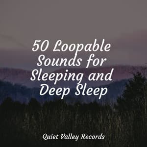 50 Loopable Sounds for Sleeping and Deep Sleep - Academia de Relaxamento e Meditação