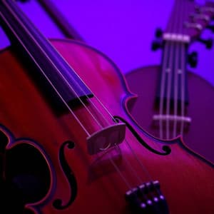 Softly Falling - Violin Music