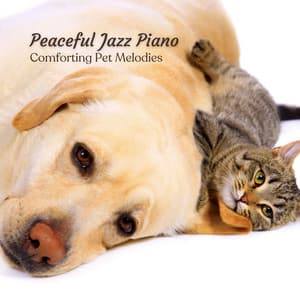 Peaceful Jazz Piano: Comforting Pet Melodies - Autumn Jazz Ambient