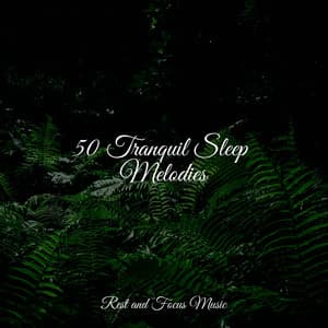 50 Tranquil Sleep Melodies - Massagem