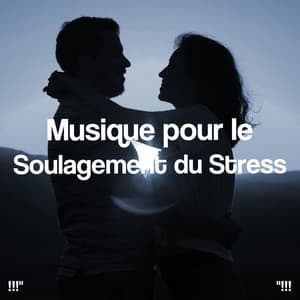 Musique pour le Soulagement du Stress - Musica Relajante