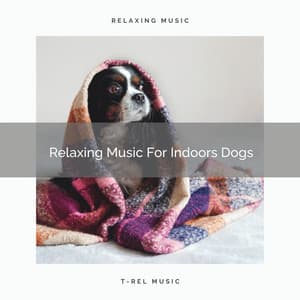 Relaxing Music For Indoors Dogs - Sleep Dog
