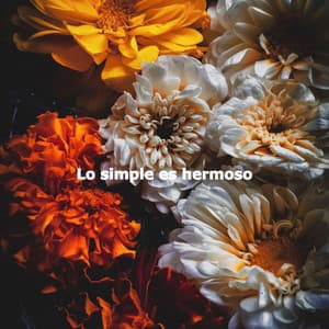Lo simple es hermoso - Cafe Jazz Classics